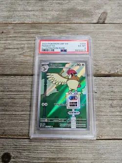 PSA 6 2023 Pokemon OBF EN Pidgeotto Illustration Rare #208 - Image 1