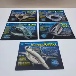 Lot of 5 Incomplete Weird and Wild Creatures Cards Monsters of the Deep Group 4 - Image 2