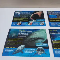 Lot of 5 Incomplete Weird and Wild Creatures Cards Monsters of the Deep Group 4 - Image 3