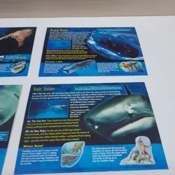 Lot of 5 Incomplete Weird and Wild Creatures Cards Monsters of the Deep Group 4 - Image 4