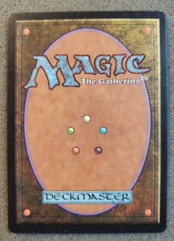 Rain of Filth Urza's Saga UN-PLAYED Black Uncommon MTG CARD (DS3D1PL)........... - Image 2