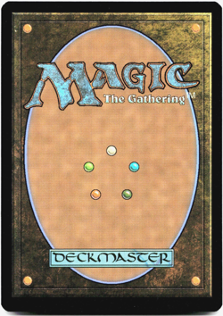 Island (Foil) 0254 TMT [Teenage Mutant Ninja Turtles] TMNT MTG - NM 💧 - Image 3