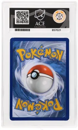 Raikou V Gg41/Gg70 - Crown Zenith Pokemon TCG - ACE 10 GEM MINT - Image 2
