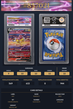 Raikou V Gg41/Gg70 - Crown Zenith Pokemon TCG - ACE 10 GEM MINT - Image 3