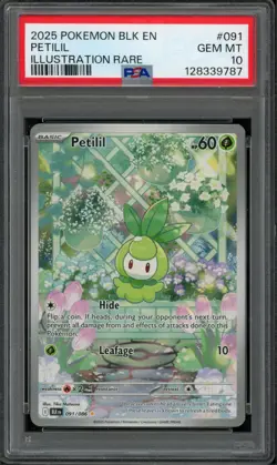 Pokemon PSA 10 Gem Mint Black Bolt Illustration Rare Petilil 091/086 - Image 1