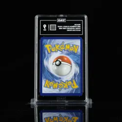 2024 POKEMON SVP EN-SV BLACK STAR PROMO PALDEA ADVENTURE CHEST PIKACHU TAG 9 - Image 2