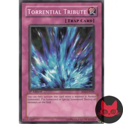 Yugioh Torrential Tribute SD2-EN025 Common 1st Edition LP - Image 1