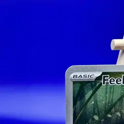 Pokemon TCG Feebas Illustration Rare Card Surging Sparks 198/191 - Image 2