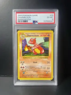 🔥 Pokemon TCG Charmeleon 24/102 Base Set Shadowless PSA 6 English Uncommon 🔥 - Image 2