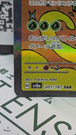 Pokemon TCG Teal Mask Ogerpon ex SAR 201/187 Sv8a: Terastal Festival Japanese - Image 4