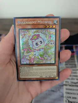 Mulcharmy Meowls-SUDA-EN025-Secret Rare-1st Edition Yugioh! - Image 2
