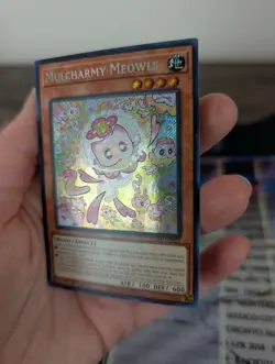 Mulcharmy Meowls-SUDA-EN025-Secret Rare-1st Edition Yugioh! - Image 3