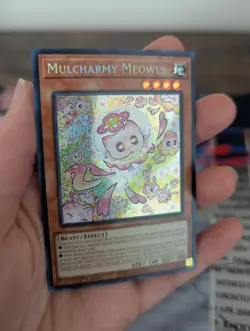 Mulcharmy Meowls-SUDA-EN025-Secret Rare-1st Edition Yugioh! - Image 4