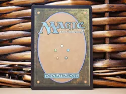 MTG Splinter, Radical Rat 0251 FOIL BORDERLESS | NM Near Mint | TMNT | 2026 - Image 2