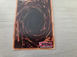 Yu-Gi-Oh! 2024 Amazoness Chain Master RP01-EN097 Reprint Secret Rare NM - Image 2