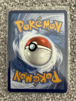 Charcadet 022 Black Star Promo Pokemon TCG Phantasmal Flames - Image 2