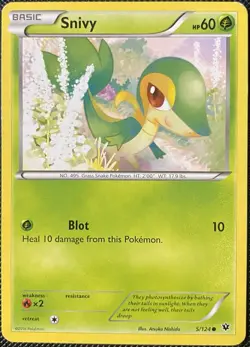 Snivy 5/124 Fates Collide Regular - Pokemon Card - Image 1