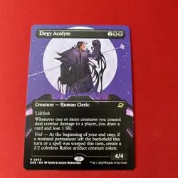 Elegy Acolyte (Borderless) Edge of Eternities Regular - Image 1