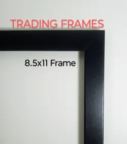 Wobbuffet Display Framed Pokemon Photo Poster Matted 8.5x11 - Image 2