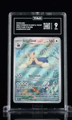 Pokemon Stoutland 156/086 SV: White Flare Illustration Rare TAG 9 Holo 2025 - Image 1