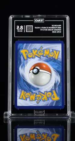 Pokemon Pikachu Ex 219/191 Sv08: Surging Sparks Ultra Rare TAG 8.5 Holo 2024 - Image 2