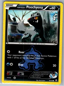 Team Aqua's Poochyena 16/34 Non Holo Double Crisis - Pokemon Card - NM - Image 1