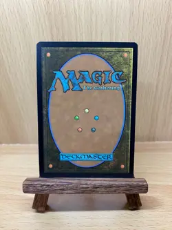 Stormcarved Coast - NM - WHO 0308 MTG Magic The Gathering - Image 2