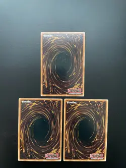 Yugioh Accumulated Fortune CDIP-EN057 1st Edition Common LP X3 - Image 2