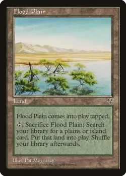 Flood Plain Mirage HEAVILY PLD Land Uncommon MAGIC THE GATHERING CARD ABUGames - Image 1
