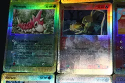 9 PL-DMG Pokemon Card Lot Reverse Holo EX Dragon(Nincada, Torchic, Horsea+) - Image 4