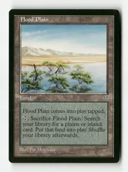 Flood Plain - MIR - #326 (LP) - Image 1
