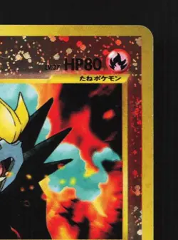 Entei No.244 HP Neo Premium File 2 Japanese Pokemon Card TCG - Image 5