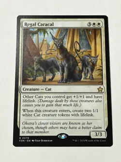 Regal Caracal Foundations Regular - Image 1