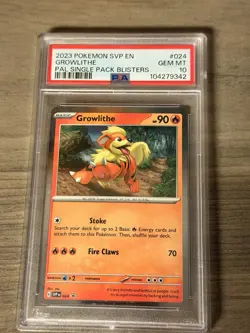 Pokemon Growlithe 024 SVP Scarlet & Violet Promo Holo PSA 10 English 2023 - Image 1