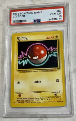 Pokemon 1999 Base Set Voltorb 67/102 PSA 10 Common Regular Wizards - Image 1