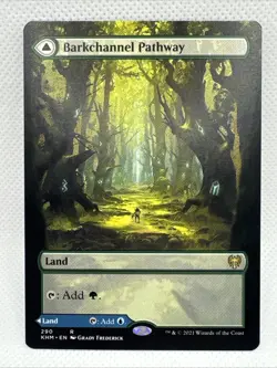 MTG - Barkchannel Pathway (Borderless) Kaldheim Regular NM Unplayed - Image 1