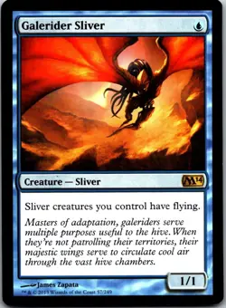 Galerider Sliver R Magic 2014 (M14) 57 MP - Image 1