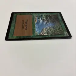 Stream of Life LP Beta MTG 218 1993 Gain X Life English - Image 3