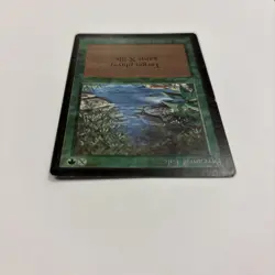 Stream of Life LP Beta MTG 218 1993 Gain X Life English - Image 4