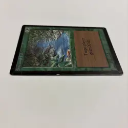 Stream of Life LP Beta MTG 218 1993 Gain X Life English - Image 5