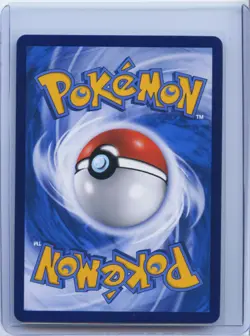 2024 Pokemon TCG S.CHN Card Display Gift Box CSGC 001/008 Holo NM - Image 2