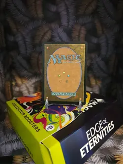 Terrasymbiosis 312 Borderless - Edge of Eternities MTG Eng EOE - Image 2