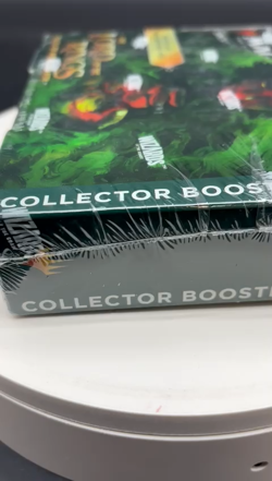 MTG Lord Of The Rings Tales Of Middle Earth Collector Boosters Sealed Box - Image 2