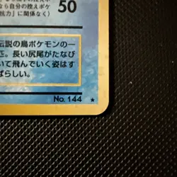 Articuno Pokemon Card Japanese No.144 Fossil Set Vintage Holo BJ95 - Image 5