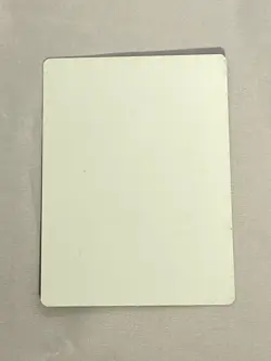 MTG Biomantic Mastery Artist Proof and Signature Signed Scott - Image 2