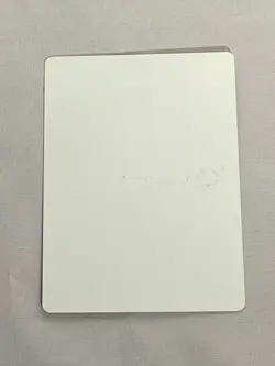 MTG Rowen Artist Proof and Signature Signed Vohwinkel - Image 2