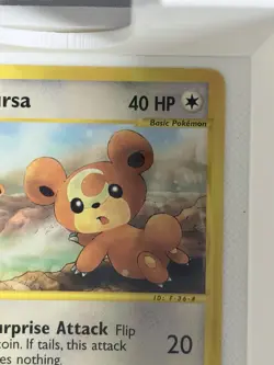 Pokemon Teddiursa Skyridge 109/144 Reverse Holo Nintendo 40 HP Common Card - Image 4