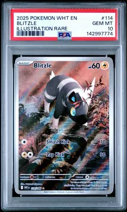 Pokemon TCG - Blitzle 114/086 - Illustration Rare - White Flare - PSA 10 - GEM - Image 1