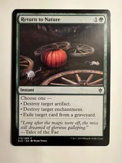 Magic the Gathering Throne of Eldraine - Return to Nature 173/269 NM - Image 1