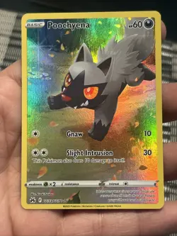 Pokemon TCG Poochyena GG33/GG70 Crown Zenith 2023: Galarian Gallery- NM - Image 1